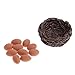 Produktbild Gazechimp Miniatur Eier und Nest Set für 1/12 Puppenhaus Mini Landschaft Dekoration - Hühnereier + Nest