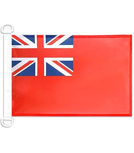 Porte-fichier Endodontique 8/16 Trous - Pour Instruments Dentaires K-File - VV Dental