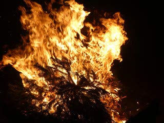 adrium 194169067 Knut Brasero, Poster, 130 x 100 cm