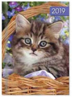 Kitten 2019 Mini/Pocket Diary - A7 Size