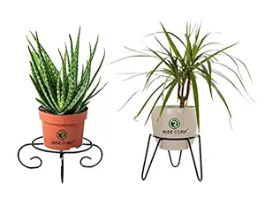 Rise Round Iron Matka/Planter Pot Stand for Home Decor, Office, Garden, Balcony Decor, Kitchen - Pack of 2 of 4 Leg, Hairpin Leg Stands (Black)