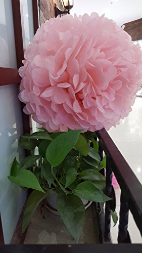 Bliqniq 5x farbig Pompons deko Papierblumen für Hochzeit Gebutztag Babytaufe 35cm - 4
