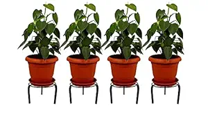 Naturally Green Matka Planter Stand for Pack of 5