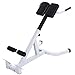 Tomasa Fitness Bauch/Rückentrainer Multifunktion Krafttraining Hantelbank Bauchmuskeltrainer einstellbare Sitzbank Gewichtheben Länge: 110cm,Breite: 69cm