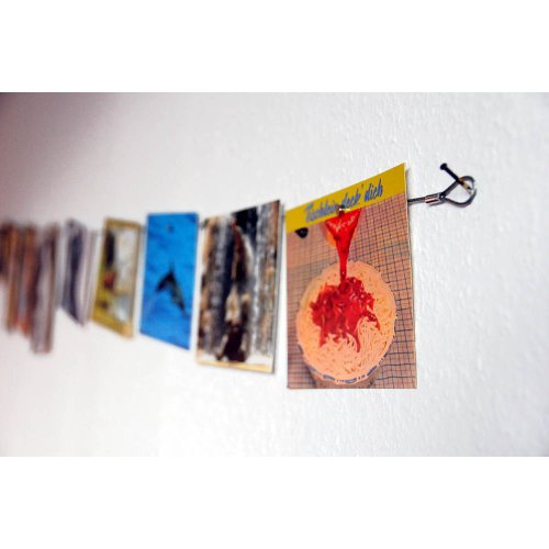 HAB & GUT (MC006) – Fotoseil Set waagerecht 120 cm 8 Magnete - 3