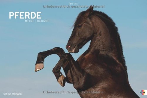 Pferde. Meine Freunde 2013