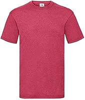 Fruit of the Loom Men's Short Sleeve T-Shirt