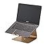 Produktbild STANDWERT Premium Universal | Uni Alu Notebook Halterung Laptopständer ( ergonomisch erhöht ) für ASUS ZenBook Flip S (UX370UA) | ASUS ZenBook 13 (UX331UAL) | ASUS Notebook X507 aus Aluminium - gold