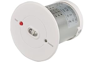 Biard 3W LED Recessed Emergency Spotlight Downlight - IP20 Rated - Ideal for Schools, Offices, Warehouse, Corridors, Stairwells