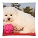 Produktbild Hats New Special Designed Zippered Square Pillowcase Bichon Frise Pillow Cases Cover 18"x18"