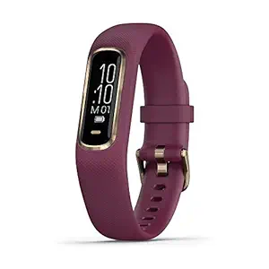 Garmin VivoSmart 4 Merlot Rubber Watch (Purple)