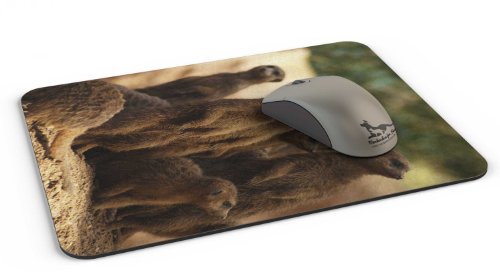 Mauspad / Mouse Pad aus Textil mit Rückseite aus Kautschuk rutschfest für alle Maustypen Motiv: Erdmännchen Gruppe [11] - 2