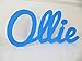 Custom Order Isaac, Wooden Plaques, Emily, Nursery Decors, Christening Gift, Birthday, New Baby, Mia Workshop