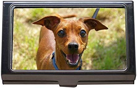 Business Card Holder,Animal Portrait Dog Curious Awakened,Business Card Case Stainless Steel