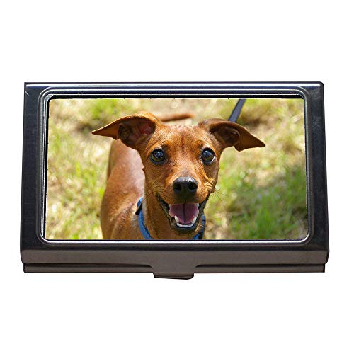Business Card Holder,Animal Portrait Dog Curious Awakened,Business Card Case Stainless Steel