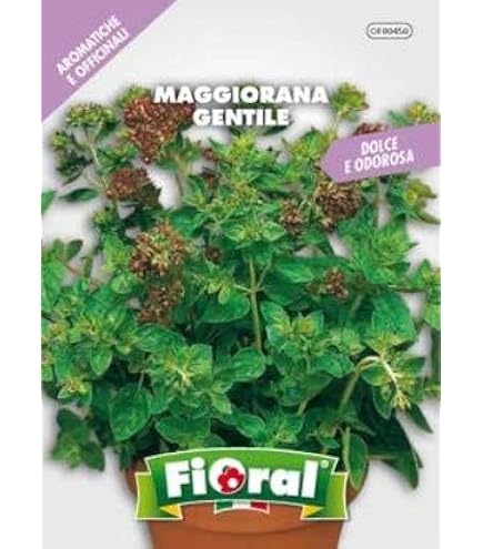 Semi Di Maggiorana - 500 Semi Biologici Per Coltivazione, Aroma Per Cucina E Giardinaggio - Foto 10