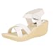 ABJ Fashion Women