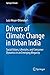 Produktbild Drivers of Climate Change in Urban India: Social Values, Lifestyles, and Consumer Dynamics in an Emerging Megacity (Springer Climate)