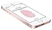 Produktbild Apple iPhone SE 16GB Rose Gold, MLXN2B_A