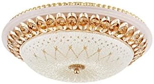 YMXLJF Ceiling Lighting Ceiling Light European Crystal Glass Ceiling Light Jane Austrian Garden Led Living Room Bedroom Light Round Square Simple Modern Lighting LED Chip Chandelier ( Size : A-40cm*12cm )