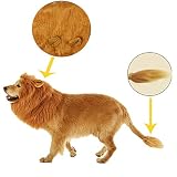 Mezcla perfectamente: las pelucas de león se mezclan completamente con el pelo de tu mascota y te encantará.