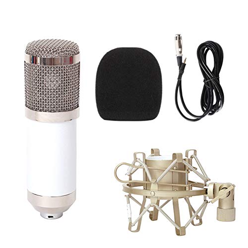 Preisvergleich Produktbild Homeofying Pro Studio Kondensatormikrofon Tonabnehmer Aufnahme Mikrofon + stoßfeste Halterung