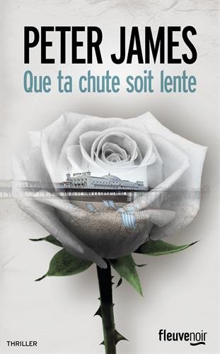 couverture de : Que ta chute soit lente