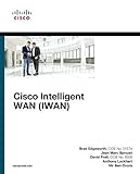 Image de Cisco Intelligent Wan: IWAN
