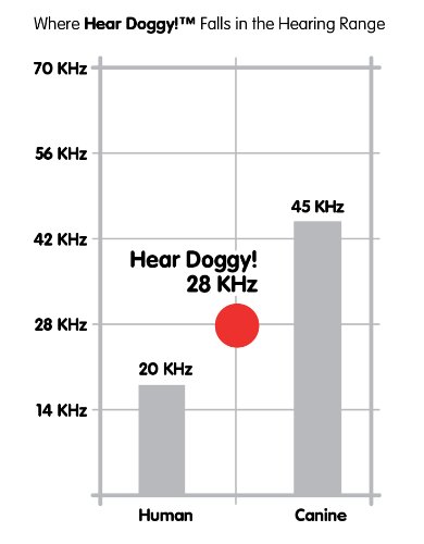 Hear-Doggy-Flattie-Ultrasonic-Dog-Toy