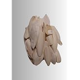PureCanpati Kalamar Kemiği 100 Gram+Mineral Blok ve Portakallı Enerji Blok (Muhabbet,paraket,kanarya Seti)