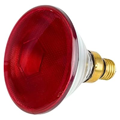 Tusk Intelec PAR38 Infra-Red Bulb Clear - 100 W