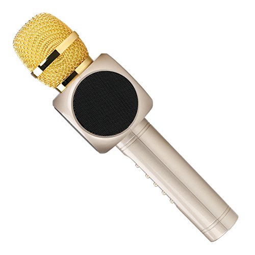 Micrófono Inalámbrico Portátil Bluetooth 2 Altavoces Incorporados p