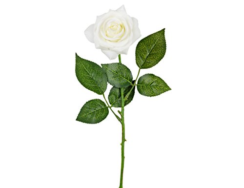 Rosen 10 Stück Real Touch Schöne Echtes Moisturizing Curling Knospe Latex künstliche Rose Kunstblumen Blume Dekoration Blumenstrauß Blumenarrangement (Weiß) - 4
