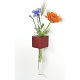 Fenstervase Padouk Blumenvase test tube vase