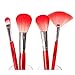 Fash Professional makeup nylon Brush Set, 13pc, For Eye Shadow, Blush, Eyeliner, eyebrow