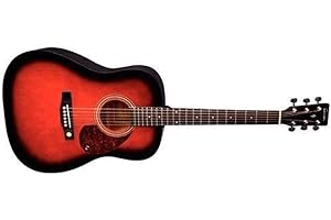 GEWAPURE Tenson F501302 Akustikgitarre D1 Dreadnought