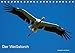 Produktbild Der Weißstorch (Tischkalender 2017 DIN A5 quer): Der Weißstorch gilt als Glücksbringer, wie der Schornsteinfeger oder das vierblättrige Kleeblatt. (Monatskalender, 14 Seiten ) (CALVENDO Tiere)