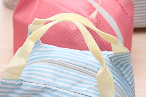 Zolimx Tragbare Lunch Bag Tote Picknick Isolierte Kühler Reißverschluss Veranstalter Brotdose (Blau) - 2