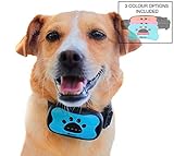🐾 INCLUYE LUZ LED PARA COLLAR DE PERRO Y EBOOK - Puede que se pregunte si es suficiente el collar de control del ladrido para cambiar el comportamiento del perro - Esta pregunta nos inspiró a mejorar nuestros collares para perros y ofrecer un ebook para ayudarle a entrenar a su perro - También incluimos una luz LED para mantenerle a usted y a su pequeño perro a salvo durante la noche