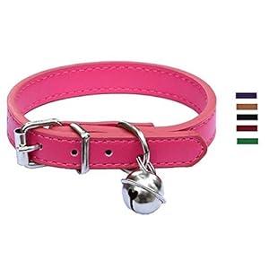 Lanyar Collares de Piel para Mascotas para Gatos, Cachorros de bebé, Ajustables de 20 a 26,5 cm