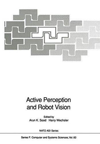 Active Perception and Robot Vision: 83 (NATO ASI Subseries F:)