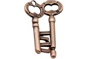 TAHOES LUXE Rompecabezas de Acero en Forma de Llave entrelazadas, Juego de Ingenio