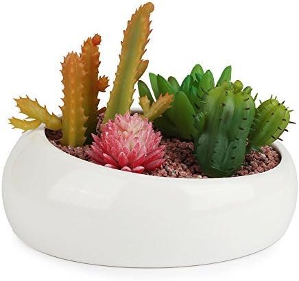Innoter Modern White Ceramic Succulent Planter, Decorative Cactus Flower Pot (Bevel Connection)