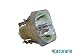 Produktbild PHROG7 Ersatzlampe für KINDERMANN 8813