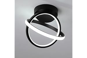 EIDISUNY Ceiling Light LED Circle Elegant Nordic Style Black LED Ceiling lamp Modern LED Ceiling Lights Fixture for Entrance Hallway Kitchen Living Room Bedroom Aisle - 18W (Cool White Light)