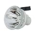 Price comparison product image Original Phoenix Projector Lamp Replacement for Toshiba TDP-ST20 (Bulb Only)