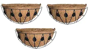 COIRGARDEN-Coir Basket 12 INCH Wall Hanger - Window Basket with Leaf Design Basket 3 Pieces