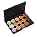 LIFECART 15 Color Professional Concealer Camouflage Foundation Makeup Palette Set With Brush