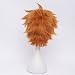 Orange Unisex Haikyuu Karasuno High School Volleyball Club Hinata Shouyou Wigs