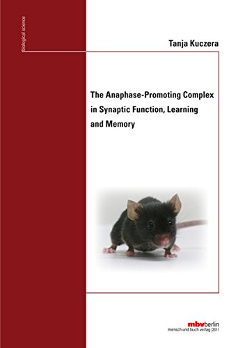 Preisvergleich Produktbild The Anaphase-Promoting Complex in Synaptic Function, Learning and Memory